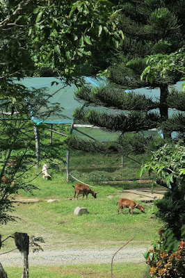 farm tours tagaytay