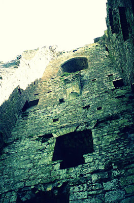 at the grounds of Trim Castle