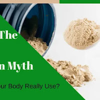 Decoding the Protein Absorption Myth: How Much Can Your Body Really Use?