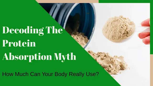 protein absorption myth