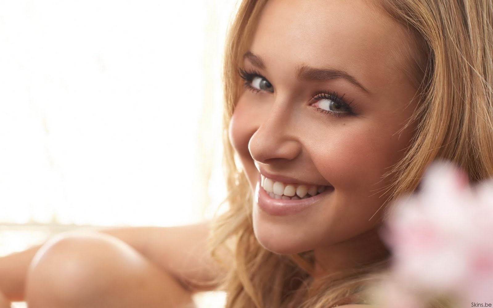 Hayden Panettiere Wallpapers