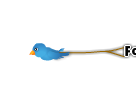 Burung Twitter
