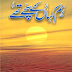 Hum kahan ke suchey they Novel by Umaira Ahmed Download in Pdf. 