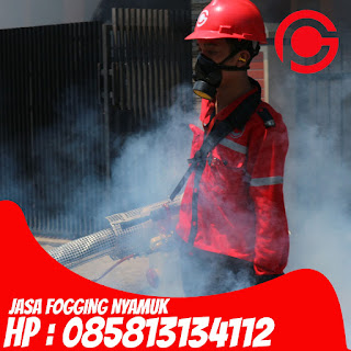 Hp : 085813134112 Jasa Fogging Nyamuk di Bandung Barat