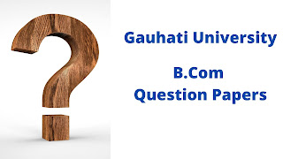 gauhati university indirect taxation question papers 2014