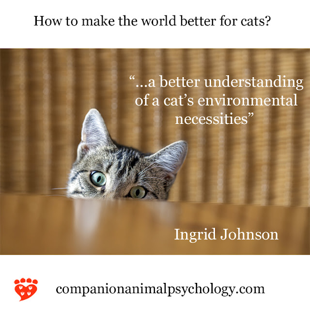 A cat pops its head up. A better understanding of environmental necessities would make the world better for cats