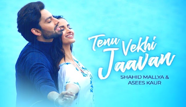 Tenu Vekhi Jaavan Lyrics-Himansh Kohli|Shahid M|