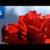 Photoshop Tutorial: Single Out a Color in a Photo! -HD-
