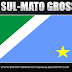 PATCH MATO GROSSO DO SUL - BRASFOOT 2017