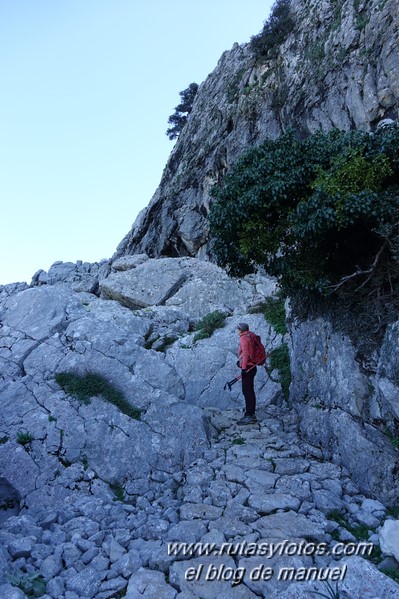 Caillo - Cintillo desde Benaocaz