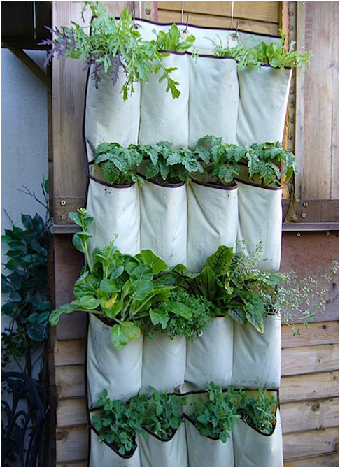 i. Garden: diy idea: repurposed shoe organizer