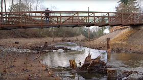 pedestrian bridge with person on it looking at creek with newly planted land with woody debris