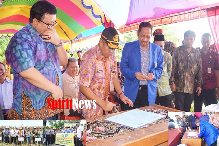 Sekda Takalar, Petani Harus Tanam Jagung, dan Menjadikan Pekerjaan Utama