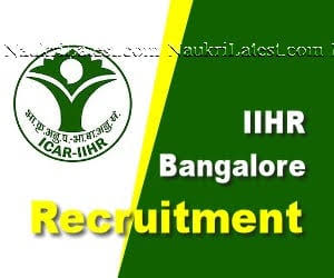 Indian Institute of Horticultural Research (IIHR), Bangalore Recruitment 