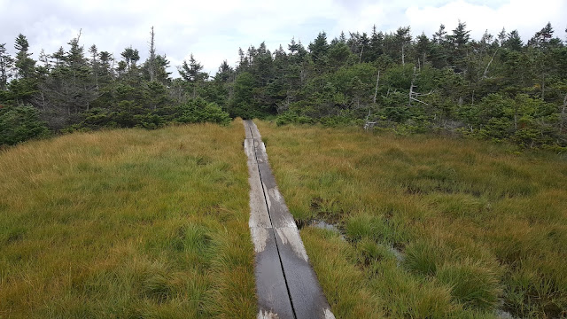 Sentier vers le mont Marcy