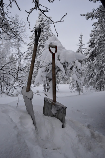 matkakertomus, kaamos, valkea joulu, Lappi