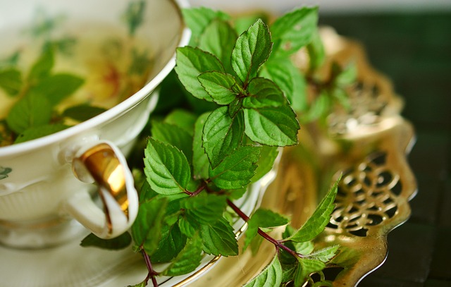 benefits of green tea keto
