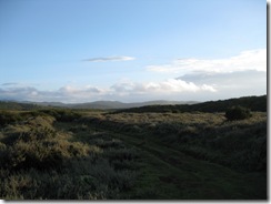 IMG_0498