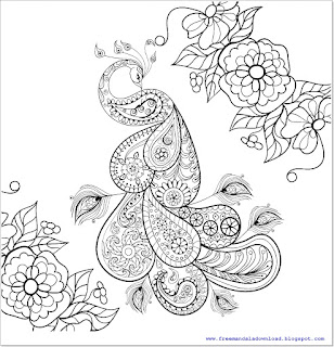 Vector - Coloring page with Bird-2