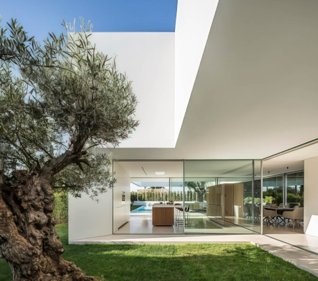 Nhà biệt thự đẹp kiến trúc hiện đại ở Ibiza  - The House of Three Trees