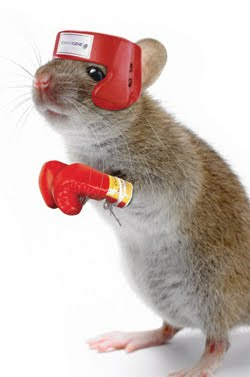 Mouse With Boxing Gloves