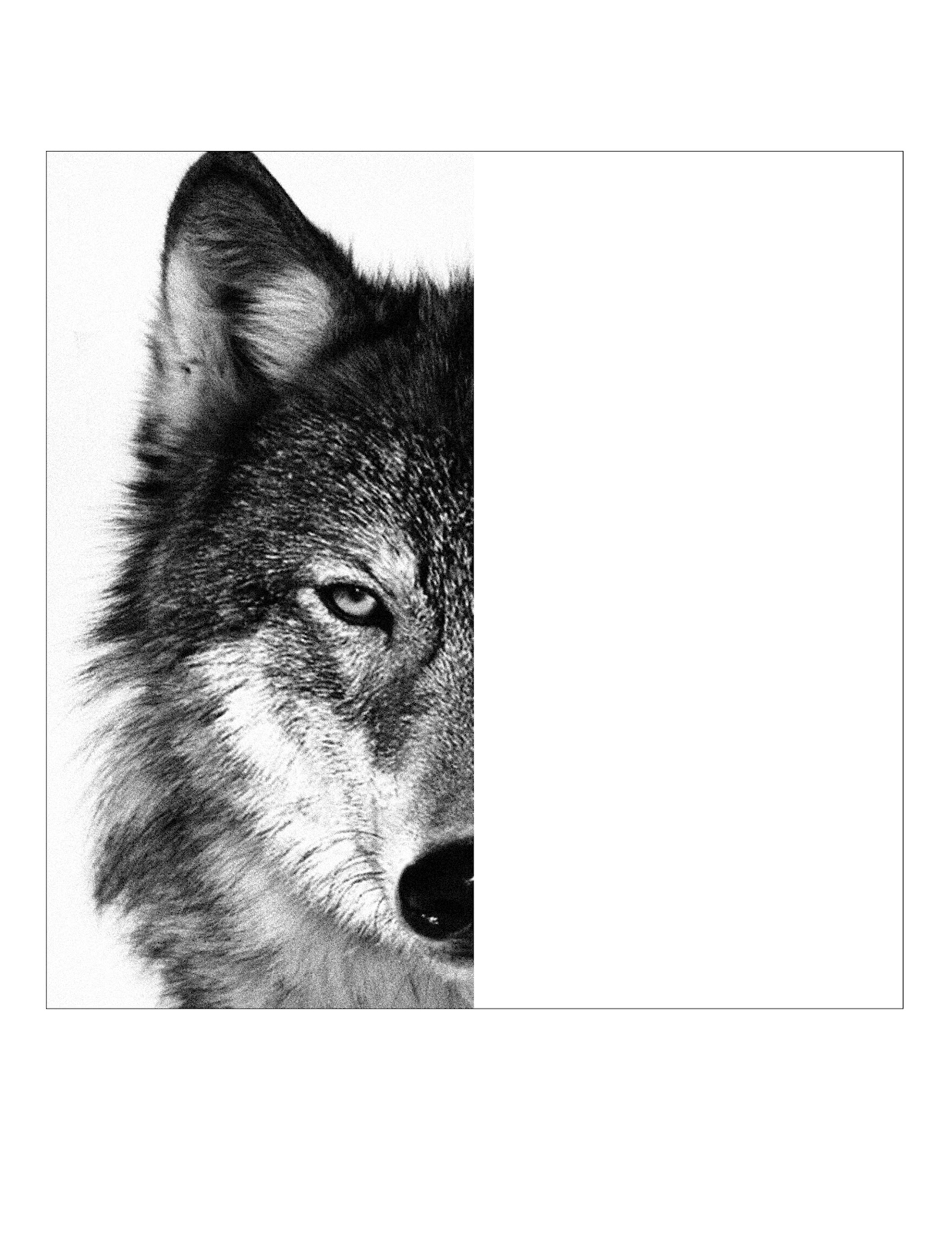 Wolf Face Coloring Page