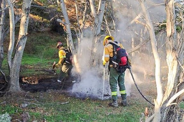 Incendio forestal en Playa Larga a pesar de la prohibición de hacer fuego en el campo