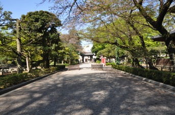 DSC 0263