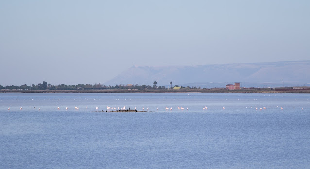 Saline di Margherita di Savoia