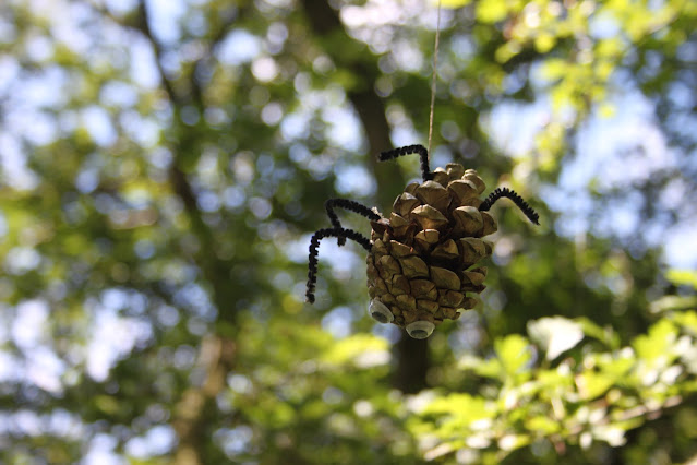 A spider made from a pinecone