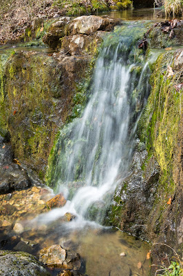 Falls Creek Trail, Lake Catherine State Park