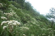 ayo! dolan Gunung Kelir