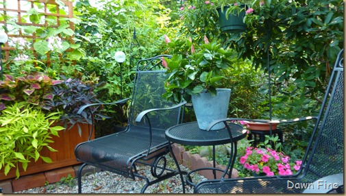 garden_006