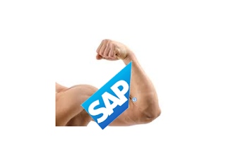 SAP Strong 2016 Results