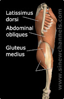 The Gallbladder Jingjin