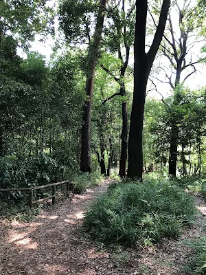 石神井公園園内風景