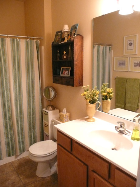 Small Apartment Bathroom Ideas