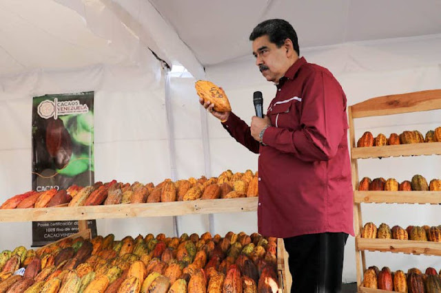 EXONERARÁN IMPUESTOS Y TASAS PARA LA EXPORTACIÓN DEL CACAO