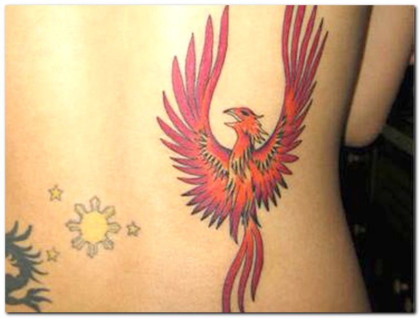 Phoenix Tattoos Designs and Meaning feniks tattoo