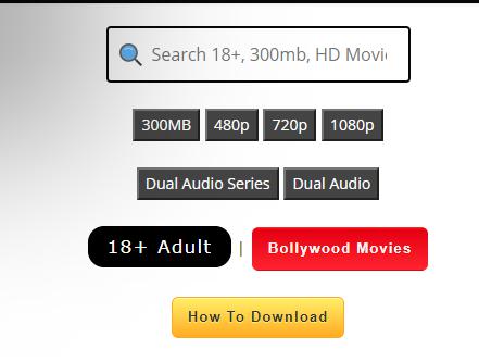 Hubflix official website