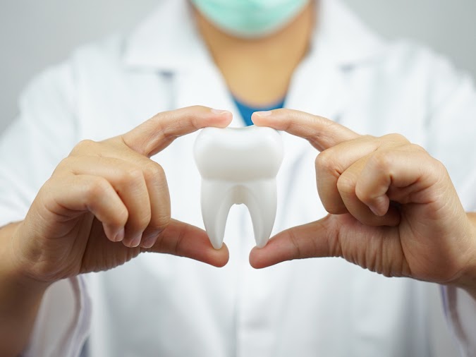  Average Dental Insurance Monthly Cost