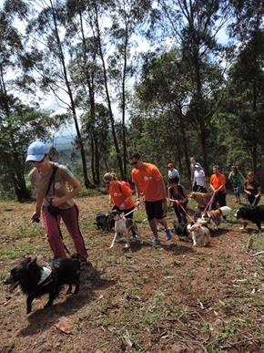 Trekking 12 (15)