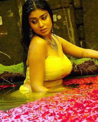 tamil actress shreya saran.3