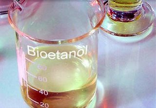 Potensi Bioetanol Singkong sumber alternative pengganti 