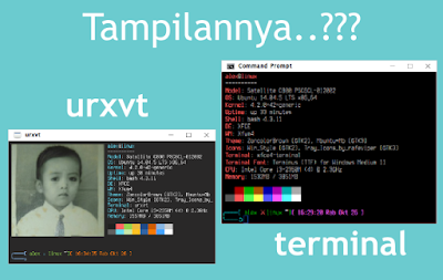 Perbedaan menggunakan urxvt & terminal emulator biasa