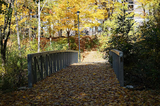 Bridge in Brookbanks Park near Cassandra Blvd