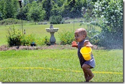 IMG_2227 copy