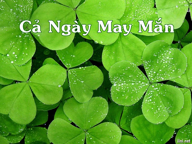 thơ chúc cả ngày may mắn