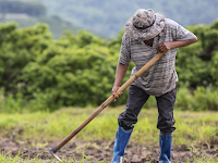 Apakah Pengaruh Kemerdekaan Bagi Petani Atau Pedagang