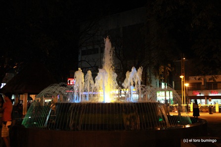 3-IMG_1869